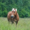 IMG-20190919-WA0014
