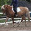 IMG_20190906_205013_530